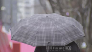 [날씨] 중부 많은 눈 집중, 최고 15cm...경기·강원 '대설주의보'