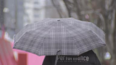 [날씨] 서울 오후 늦게 많은 눈, 최고 7cm...경기·강원 '대설주의보'