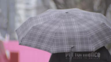 [날씨] 서울 동북권 대설예비특보...밤까지 최고 7cm 눈