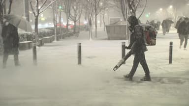 건설보다 6배 무거운 '습설'..."무조건 빨리 치워야 한다" [Y녹취록]