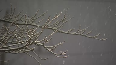 밤까지 수도권 일대 눈...이 시각 경기 포천