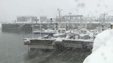 [날씨] 오늘 서쪽 중심 비·눈...찬 바람에 체감 온도↓