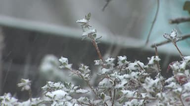 [날씨] 종일 찬 바람, 호남·제주 눈비...내일 아침까지 반짝 추위
