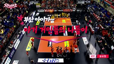 [스포인트] 부산 아이가~ 아기 거인들의 나들이!