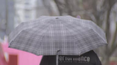 [출근길 YTN 날씨 12/16] 추위 걱정 없어 '예년보다 온화'...중부 약한 비·눈