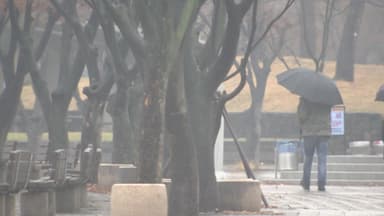 [날씨] 오늘 중부 곳곳 약한 비·눈...밤부터 '국외 미세먼지'