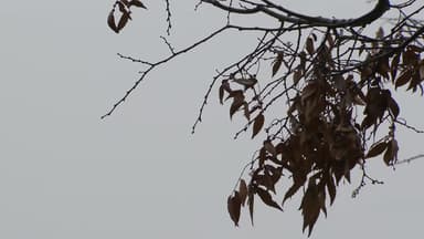 [날씨] 밤까지 중부 곳곳 비·눈, 빙판길 유의...차츰 스모그 유입