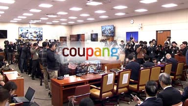 '정보 유출' 쿠팡 청문회...김범석 불출석에 '맹탕'?
