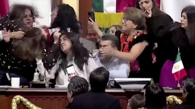 [나우쇼츠] 뒤통수 때리고 머리채 잡고...멕시코 시의회 집단 난투극