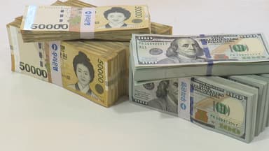 [뉴스나우] 원·달러 환율 '8개월 만에 최고'...외환당국 긴급 대책은?