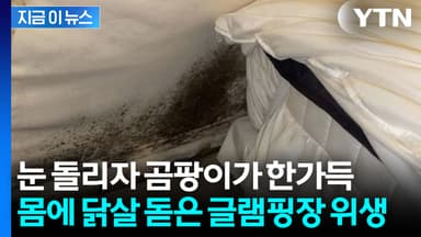 "23만 원 내고 병 얻어갈 듯"...노숙 체험 수준의 글램핑장 충격 위생 [지금이뉴스]