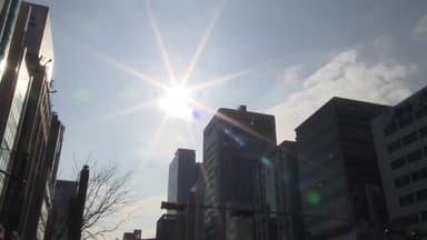 [날씨] "겨울이야, 봄이야?" 12월 중순 최고 기온...날씨 '롤러코스터'