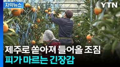 [자막뉴스] 관세 30% → 0%로 사라진다...직격탄 위기에 초비상