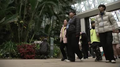 [날씨] 주말, 포근함 속 전국 가끔 비...미세먼지 주의