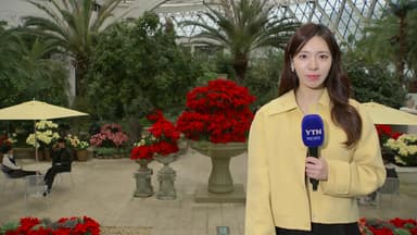 [날씨] 초봄처럼 포근, 전국 가끔 비...공기 점차 탁해져