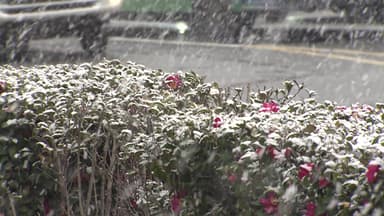 서울 10년 내 '화이트 크리스마스' 두 차례...올해는?