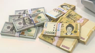 6개월째 치솟은 고환율에...소비자 물가 '비상'