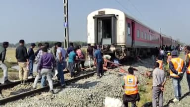 인도서 열차가 코끼리떼와 충돌...7마리 떼죽음