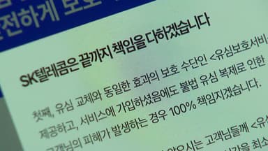 소비자원 "SKT, 피해자 1인당 10만 원 보상해야"