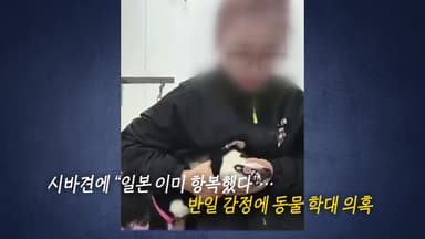 "일본 항복했잖아!"...시바견 때리는 중국인 애견 미용사 [앵커리포트]
