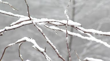 [날씨] 성탄절 맑지만 '반짝 한파'...금요일 서울 체감 -19℃