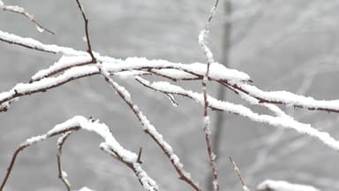 [날씨] 성탄절 맑지만 '반짝 한파'...금요일 서울 체감 -19℃