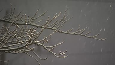 [날씨] 퇴근길 곳곳 비·눈, 미끄럼 사고 유의...성탄절 '반짝 한파'