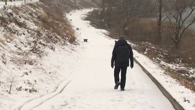 강원 영서에 많은 눈, 사고 잇따라...오늘도 빙판길