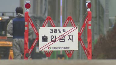 "연이틀 확진" 충북 덮친 고병원성 AI...전국 일제 검사 착수