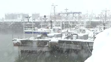 [날씨] 들뜬 성탄 전야, 내일은 '성탄 한파'...서해안 화이트 크리스마스