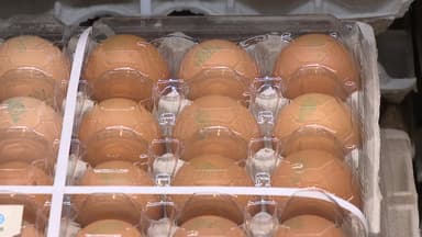 달걀부터 칼국수까지...연말 먹거리 물가 '들썩'