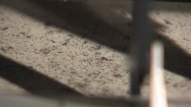 겨울철 실내에 숨어든 '침묵의 병균'...가전 속 세균 주의