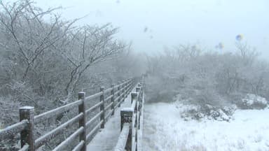 [날씨] 강추위 절정, 서울 체감 -18℃...호남 서해안·제주도 눈