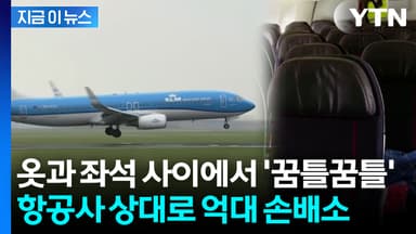 "여객기에서 빈대에 물렸다"...항공사 상대로 억대 손배소 [지금이뉴스]