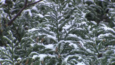 한파특보에 전국이 '꽁꽁'...제주·울릉은 대설까지