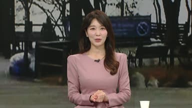 [날씨] 낮부터 강추위 누그러져...중부 1cm 안팎 눈 조금