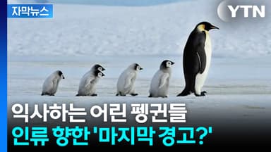 [자막뉴스] '멸종' 직면한 펭귄의 위기... 전문가도 경고한 심각한 상황