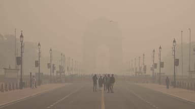 최악 스모그 인도 뉴델리..."물 뿌리면 된다"에 시민들 분노