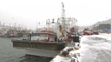 [날씨] 휴일, 예년 기온 웃돌며 포근...중서부 중심 눈·비