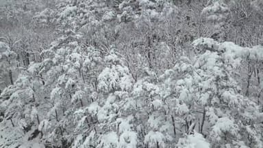 [날씨] 강원 산간 최고 8cm 눈 예보...출근길 살얼음 주의