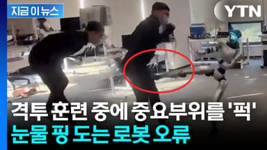 중국 휴머노이드의 아찔 오류?...'급소 발차기' 영상에 머스크도 댓글 [지금이뉴스]