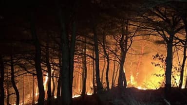 강원도 고성 야산에서 산불...1시간 만에 주불 진화