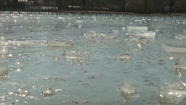 [날씨] 얼어붙은 도심 호수...연말연시 '-10℃ 안팎 한파' 기승