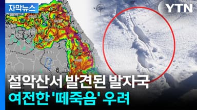 [자막뉴스] 멸종위기종의 유례없는 떼죽음...현장 다시 가보니 '막막'