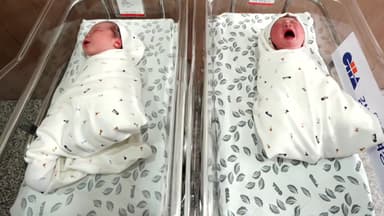 '붉은 말의 해' 시작...기운찬 한 해 되길