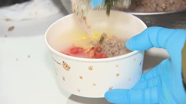 소망하고 다짐하고...맹추위도 막지 못 한 새해 첫 날