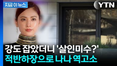 흉기 든 강도 제압한 나나...되레 '살인미수' 역고소 봉변 [지금이뉴스]