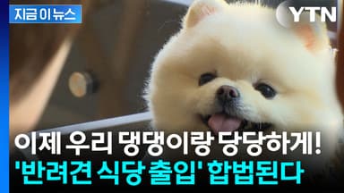 '애견동반' 이제 식당에서 합법..."희망하는 업소에 적용" [지금이뉴스]