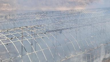 경북 예천 양계장에서 불...닭 11만 마리 폐사