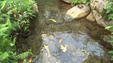 사계절 싱그러운 '녹음'...겨울 온실 나들이 '인기'